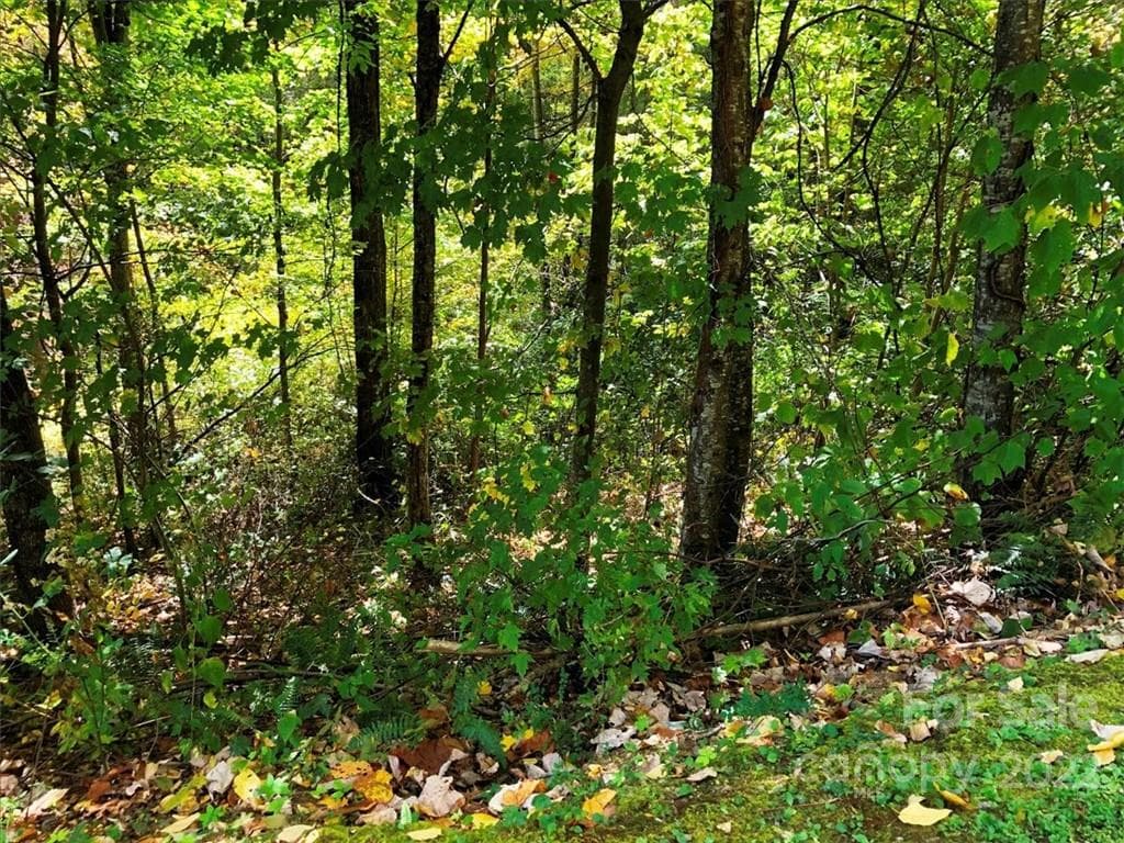 Lot at Waynesville, photo 5 of 8