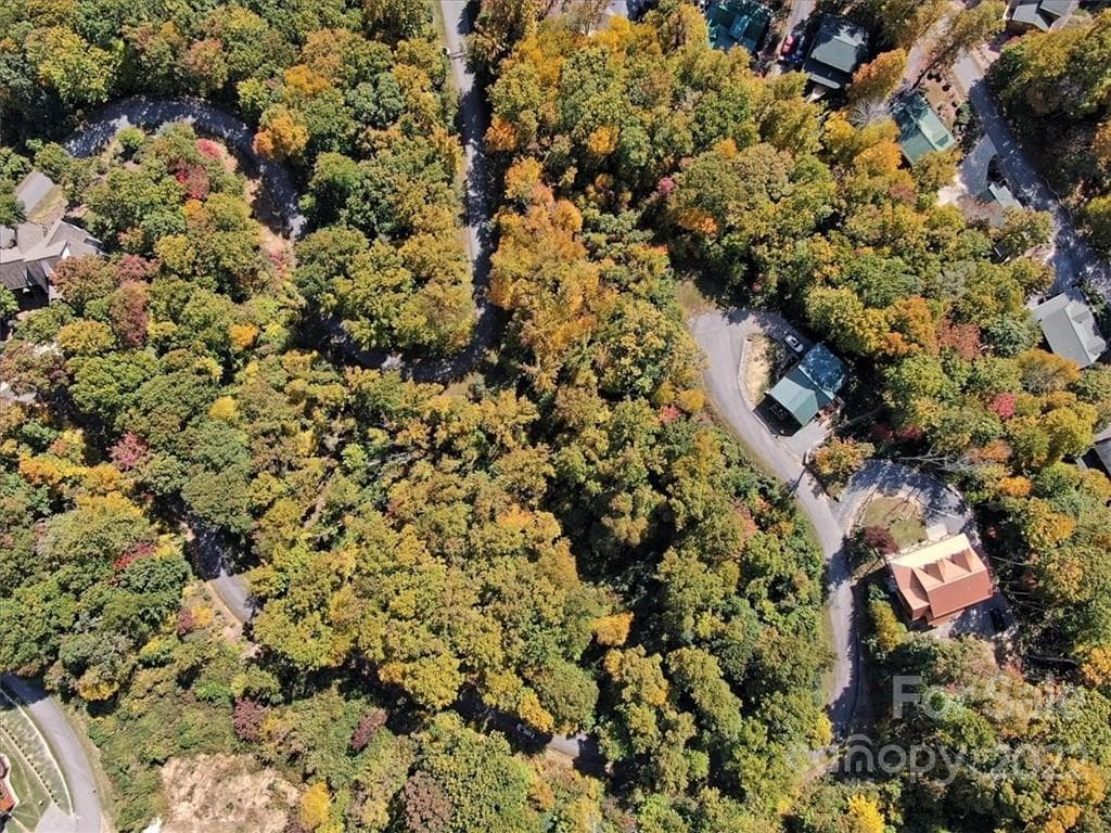 Birdseye View - Waynesville