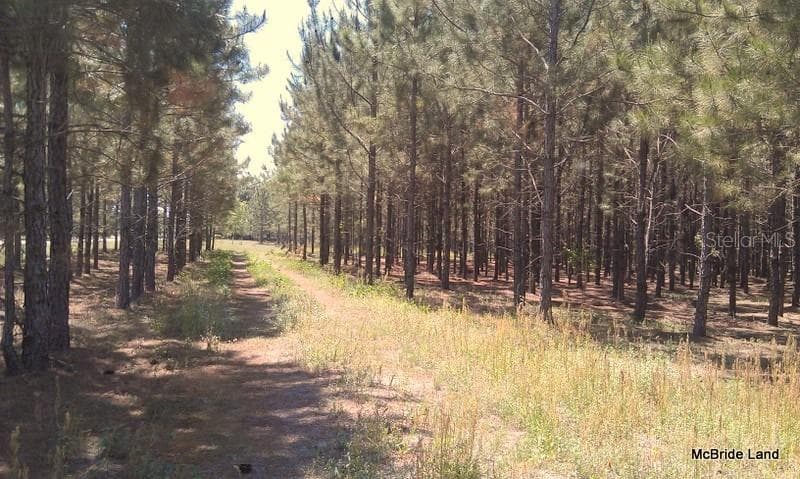 Land at 17001 SW HIGHWAY 484, DUNNELLON, photo 10 of 39