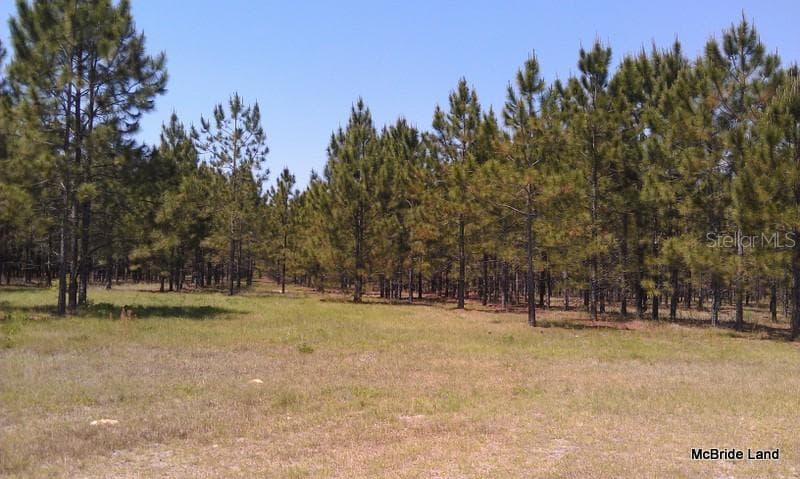 Land at 17001 SW HIGHWAY 484, DUNNELLON, photo 12 of 39