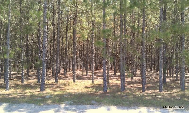 Land at 17001 SW HIGHWAY 484, DUNNELLON, photo 17 of 39