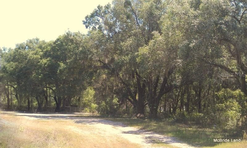 Land at 17001 SW HIGHWAY 484, DUNNELLON, photo 18 of 39