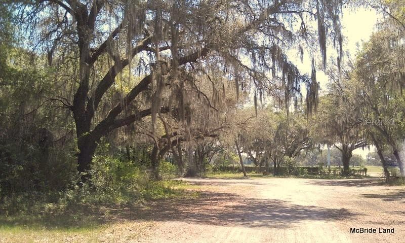 Land at 17001 SW HIGHWAY 484, DUNNELLON, photo 19 of 39