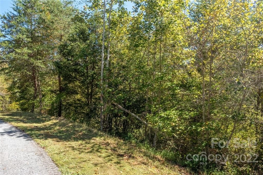 Lot at Lake Lure, photo 2 of 36