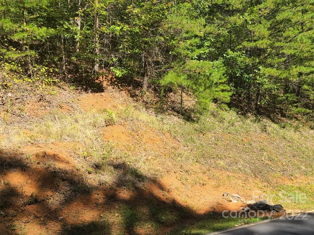 Lot at Lake Lure, photo 5 of 36