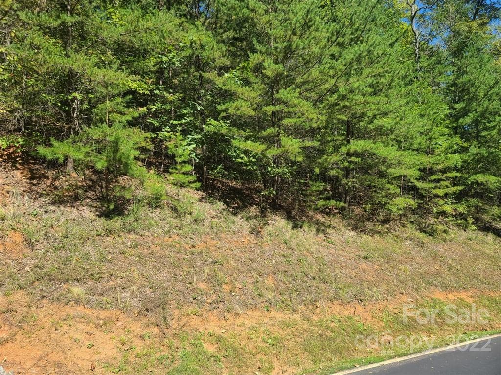 Lot at Lake Lure, photo 6 of 36