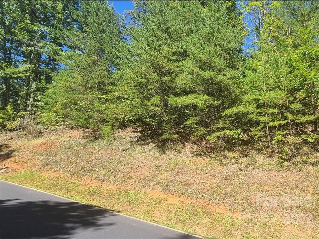 Lot at Lake Lure, photo 7 of 36