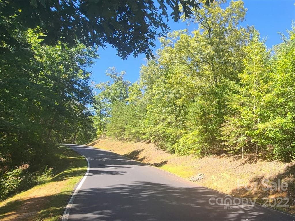 Lot at Lake Lure, photo 8 of 36