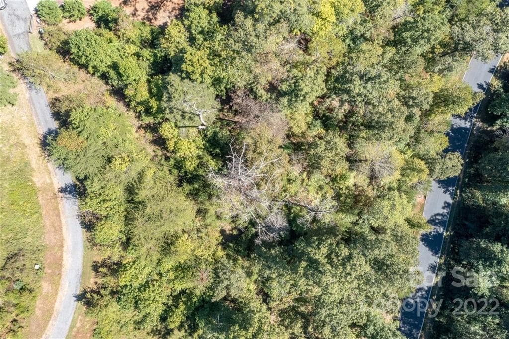 Lot at Lake Lure, photo 9 of 36