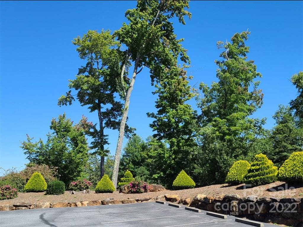 Lot at Lake Lure, photo 24 of 36