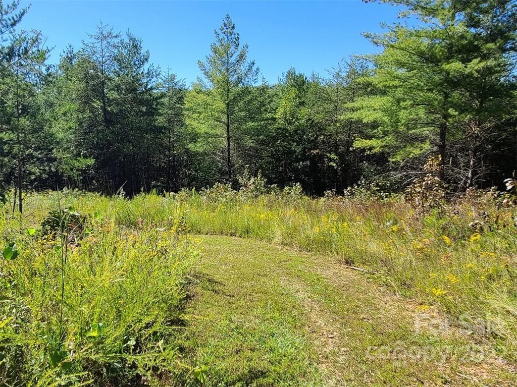 Lot at Lake Lure, photo 28 of 36