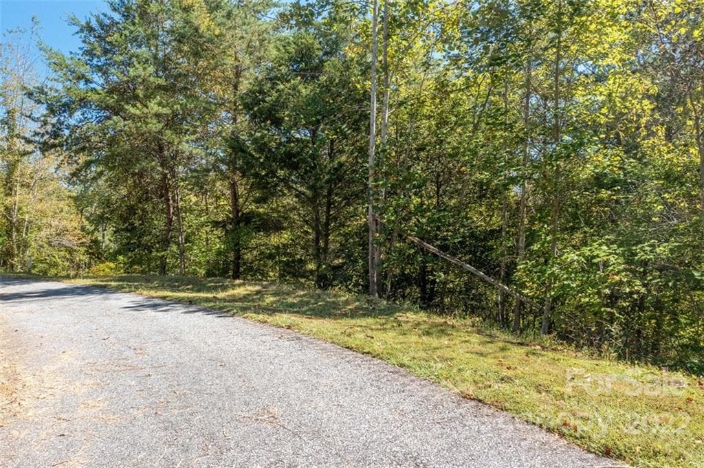 Lot at Lake Lure, photo 29 of 36