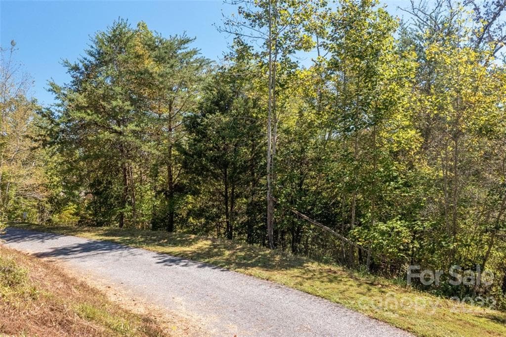 Lot at Lake Lure, photo 30 of 36