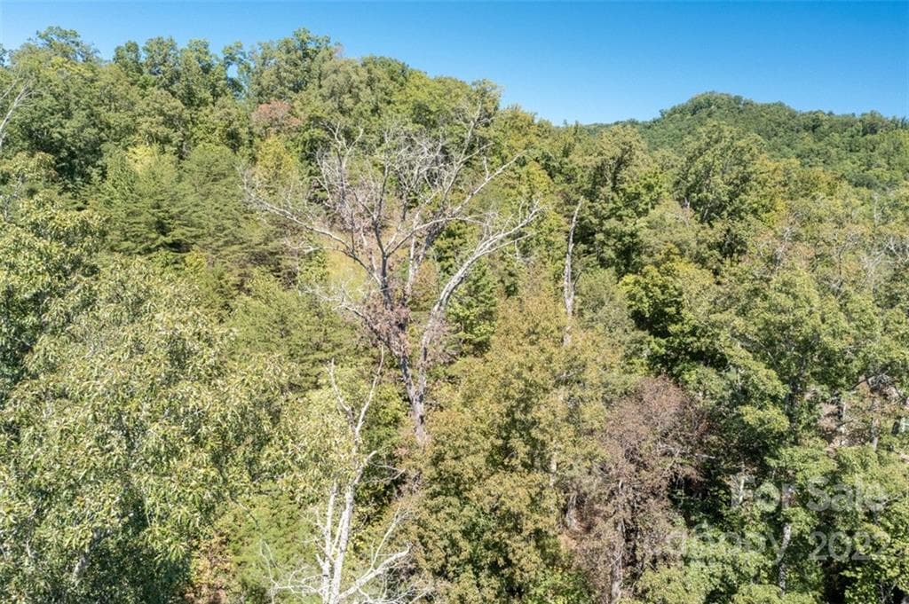 Lot at Lake Lure, photo 31 of 36