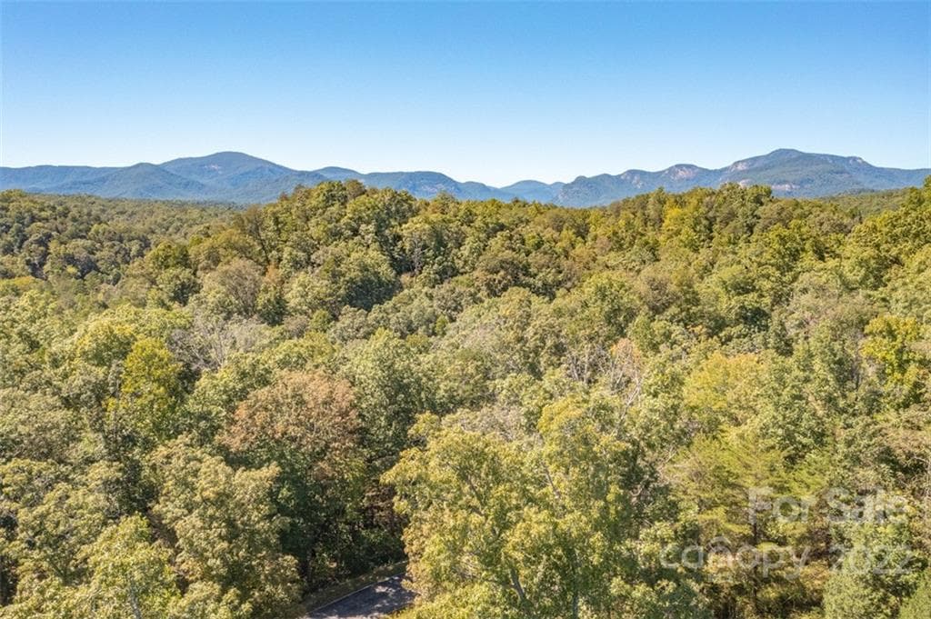 Lot at Lake Lure, photo 33 of 36