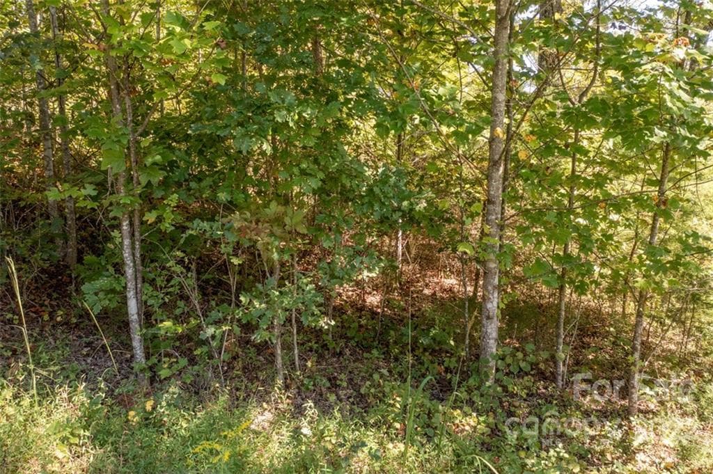Lot at Lake Lure, photo 35 of 36