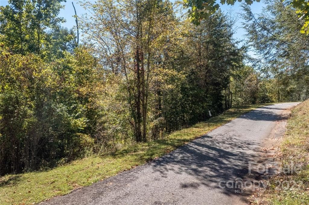 Lot at Lake Lure, photo 36 of 36