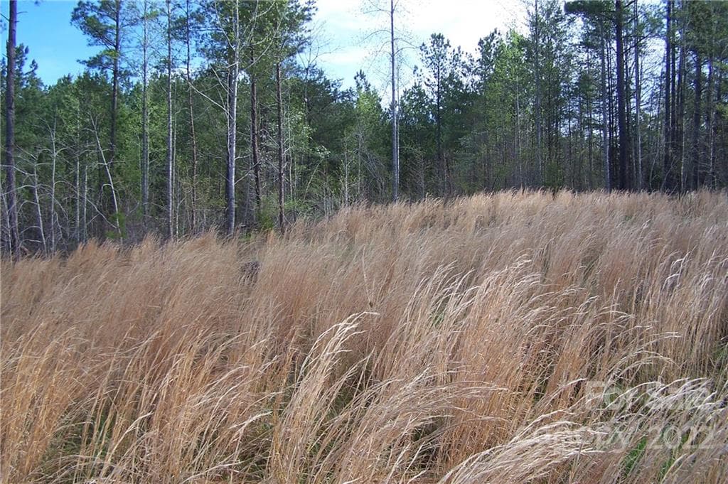 Acreage at Mill Spring, photo 3 of 7