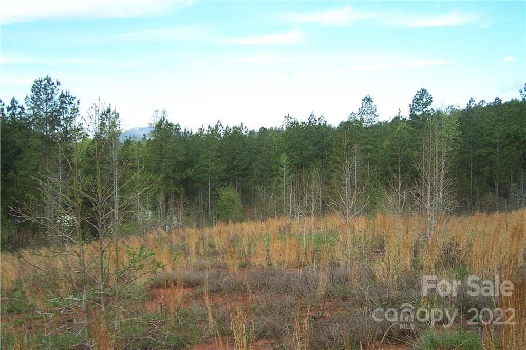 Acreage at Mill Spring, photo 5 of 7