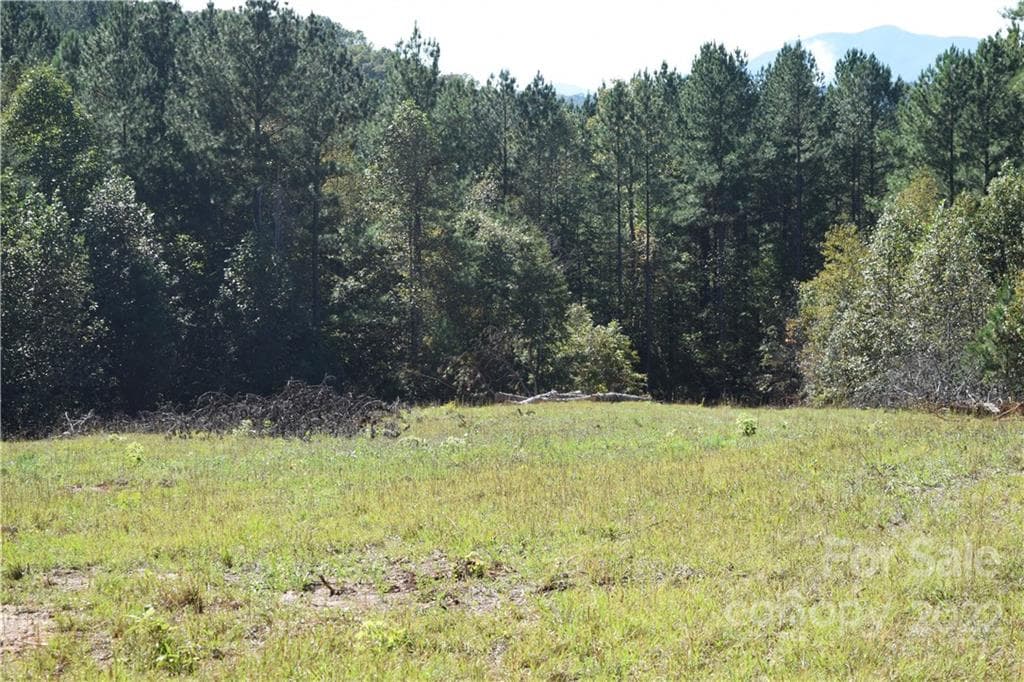 Acreage at Mill Spring, photo 7 of 7