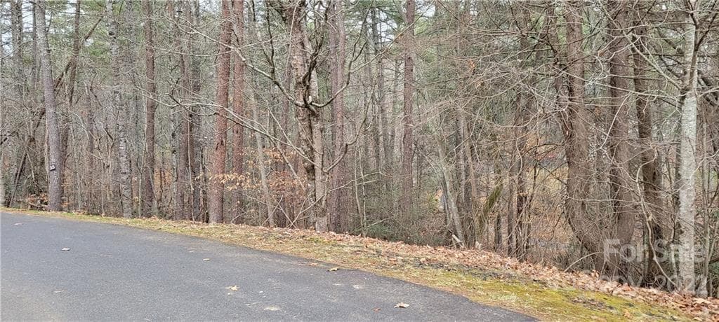 Lot at 35 Settlers Trail, Mars Hill, photo 2 of 3