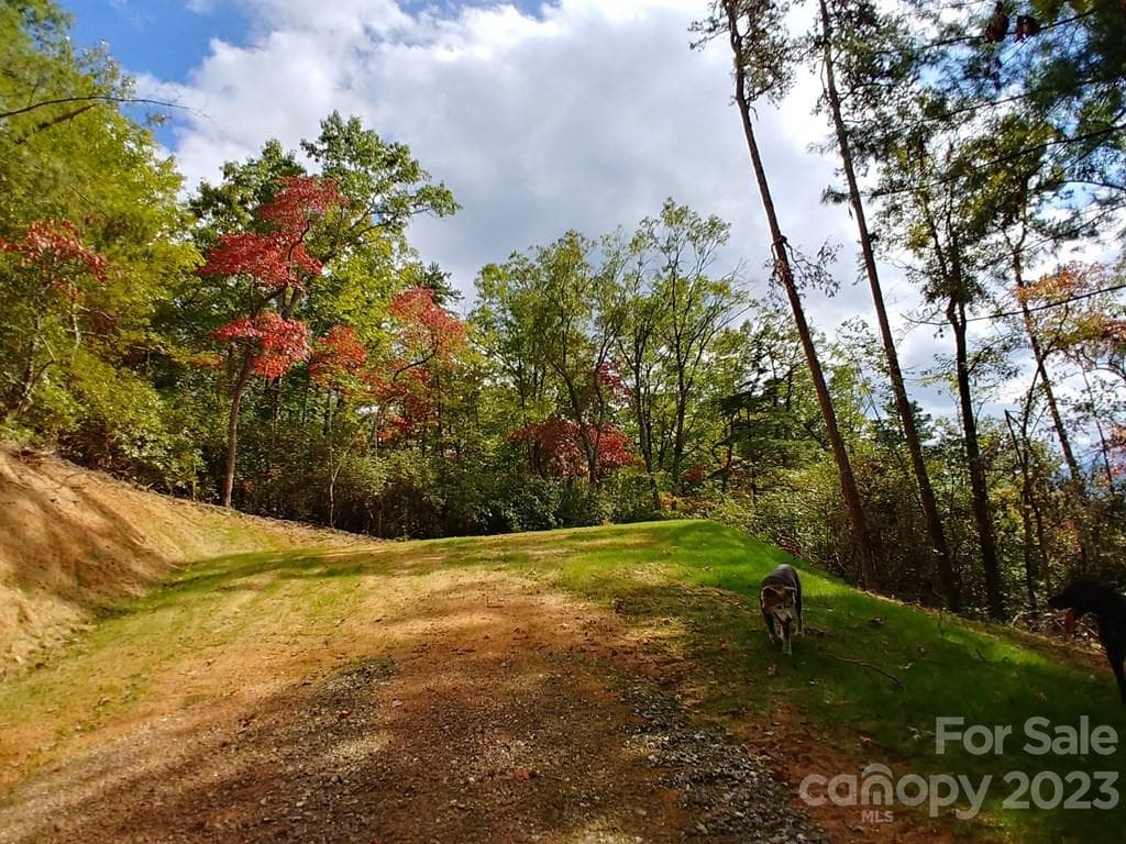 Lot at Lot 42 The Knoll None, Bryson City, photo 2 of 3