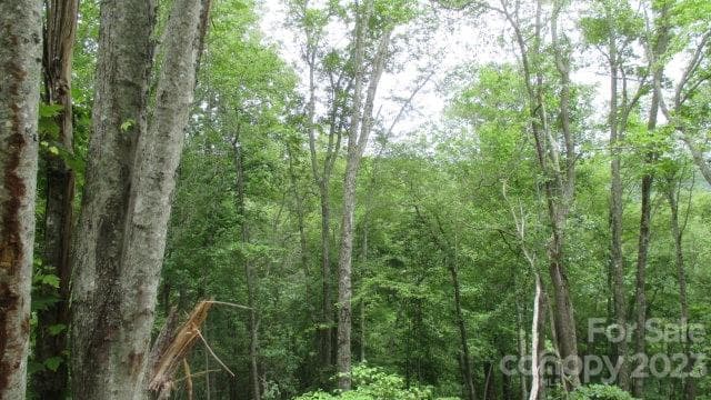 Lot at Lot 37 Deeplow Gap None, Bryson City, photo 2 of 3