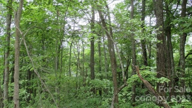 Lot at Lot 37 Deeplow Gap None, Bryson City, photo 3 of 3