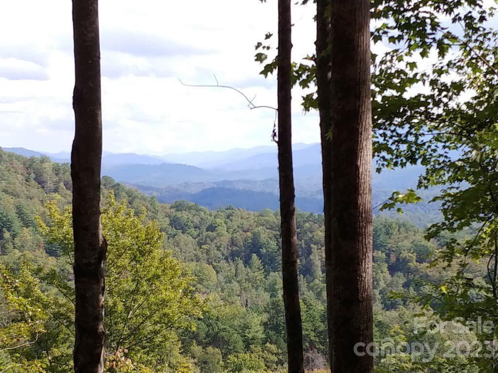 Lot 45 Thomas Divide Way