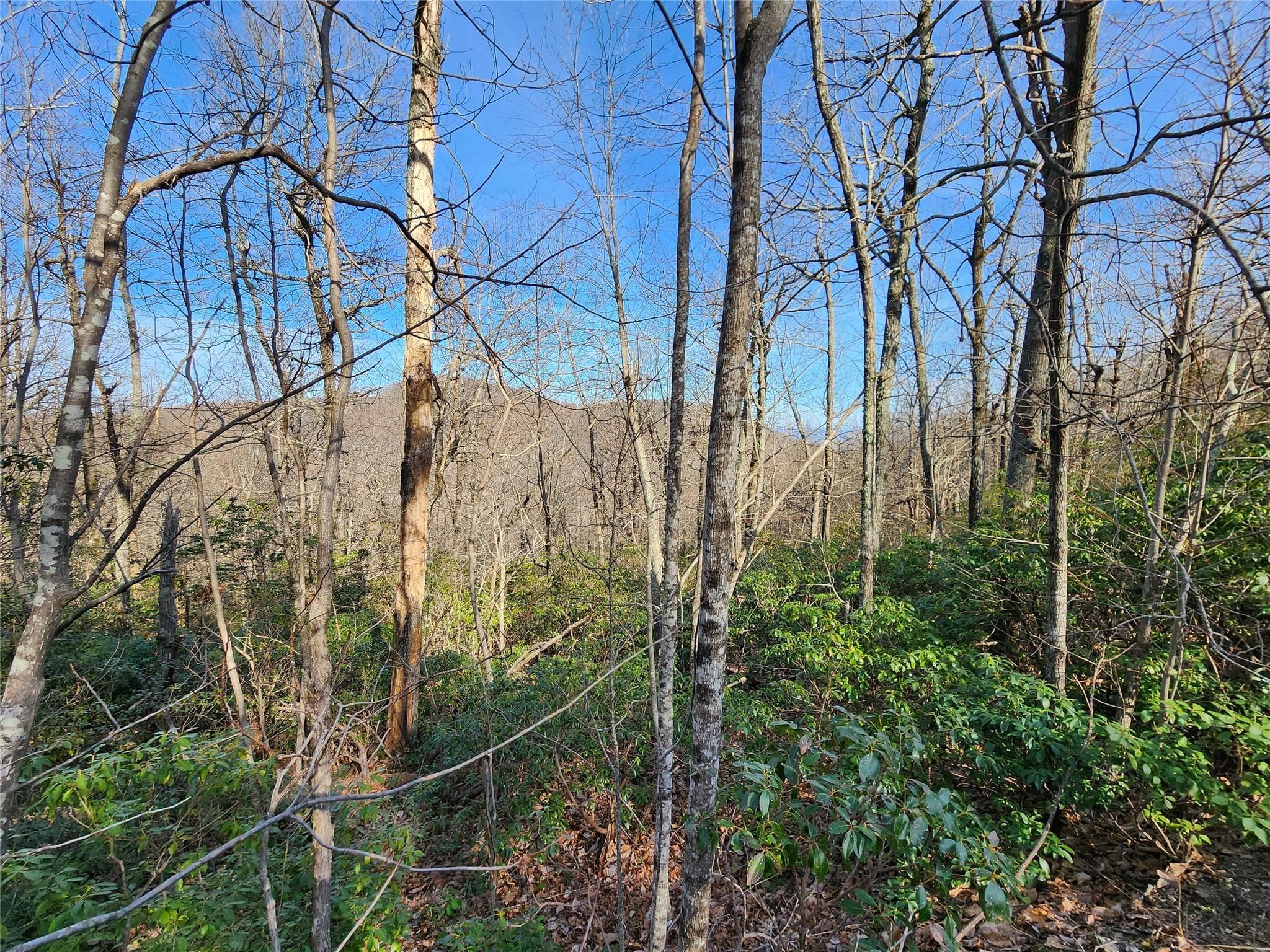 Lot 22 Sunset Ridge Drive