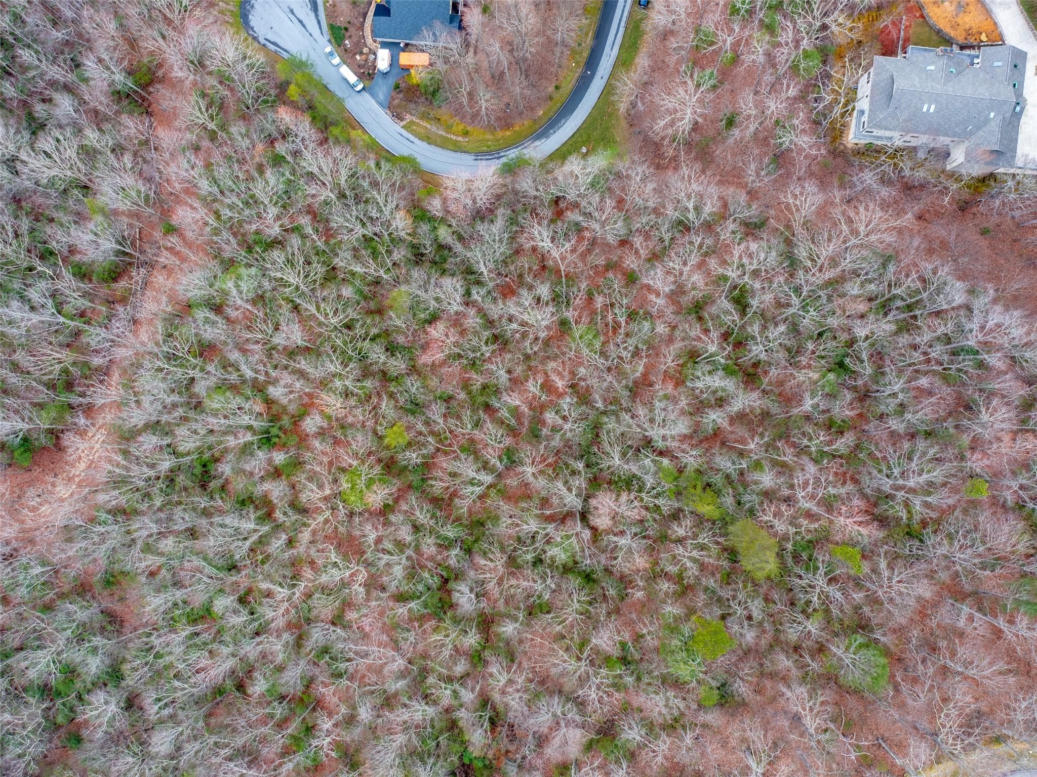 Lot at Hendersonville, photo 6 of 17