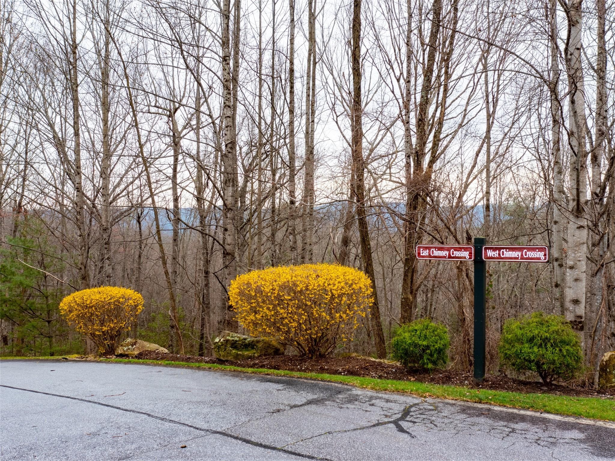 Lot at Hendersonville, photo 7 of 17