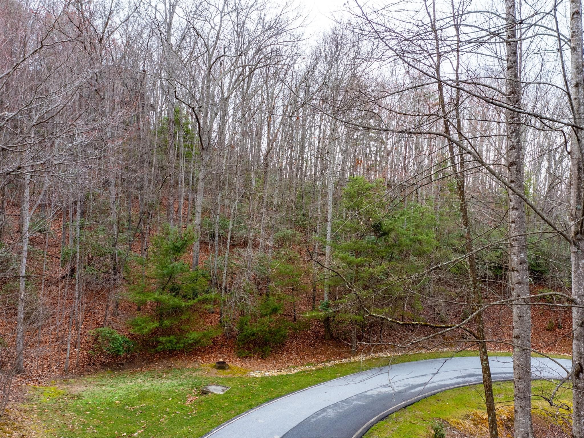 Lot at Hendersonville, photo 9 of 17