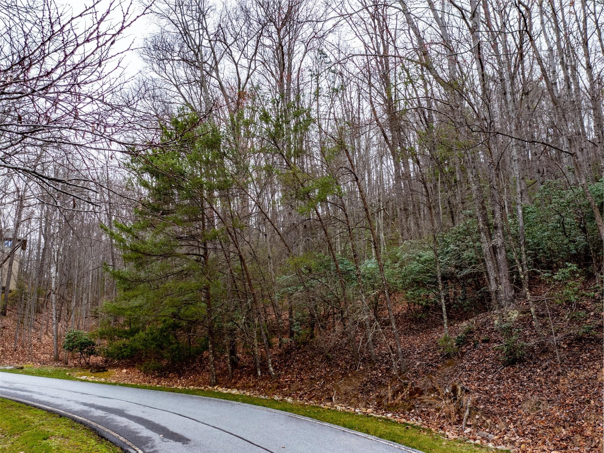 Lot at Hendersonville, photo 10 of 17