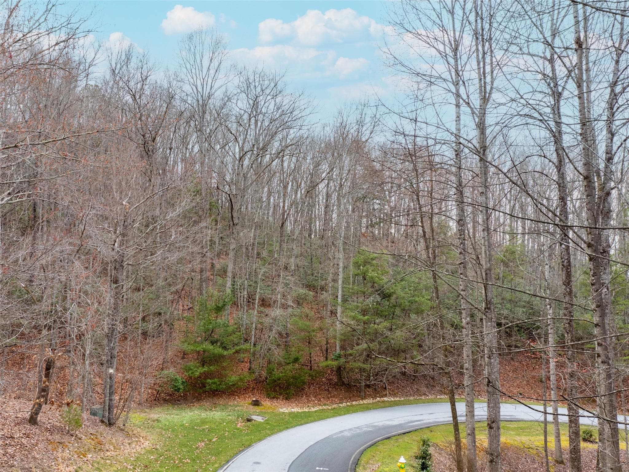 Lot at Hendersonville, photo 11 of 17