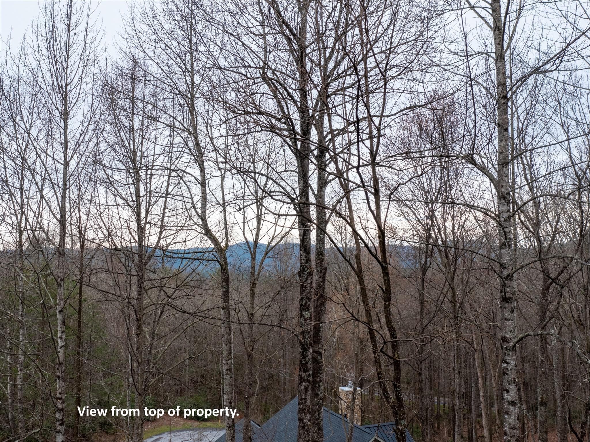 Lot at Hendersonville, photo 12 of 17