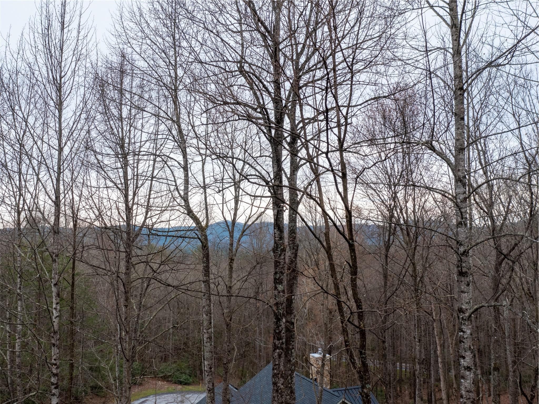 Lot at Hendersonville, photo 13 of 17