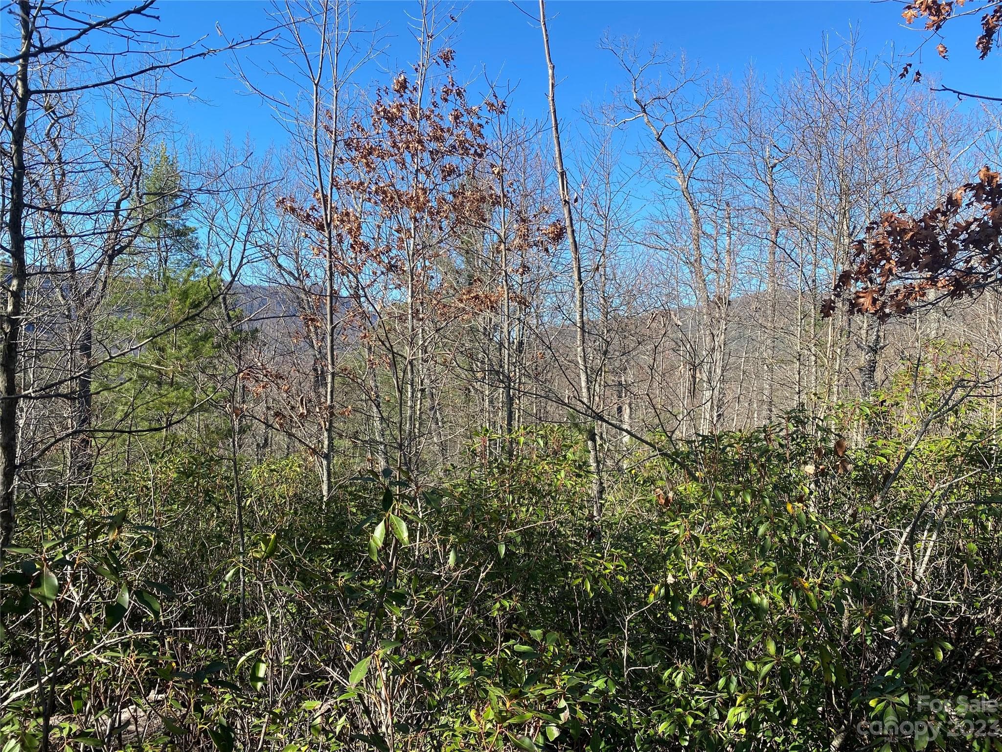 Lot at Lot 49 Sunrise Path, Marion, photo 8 of 15