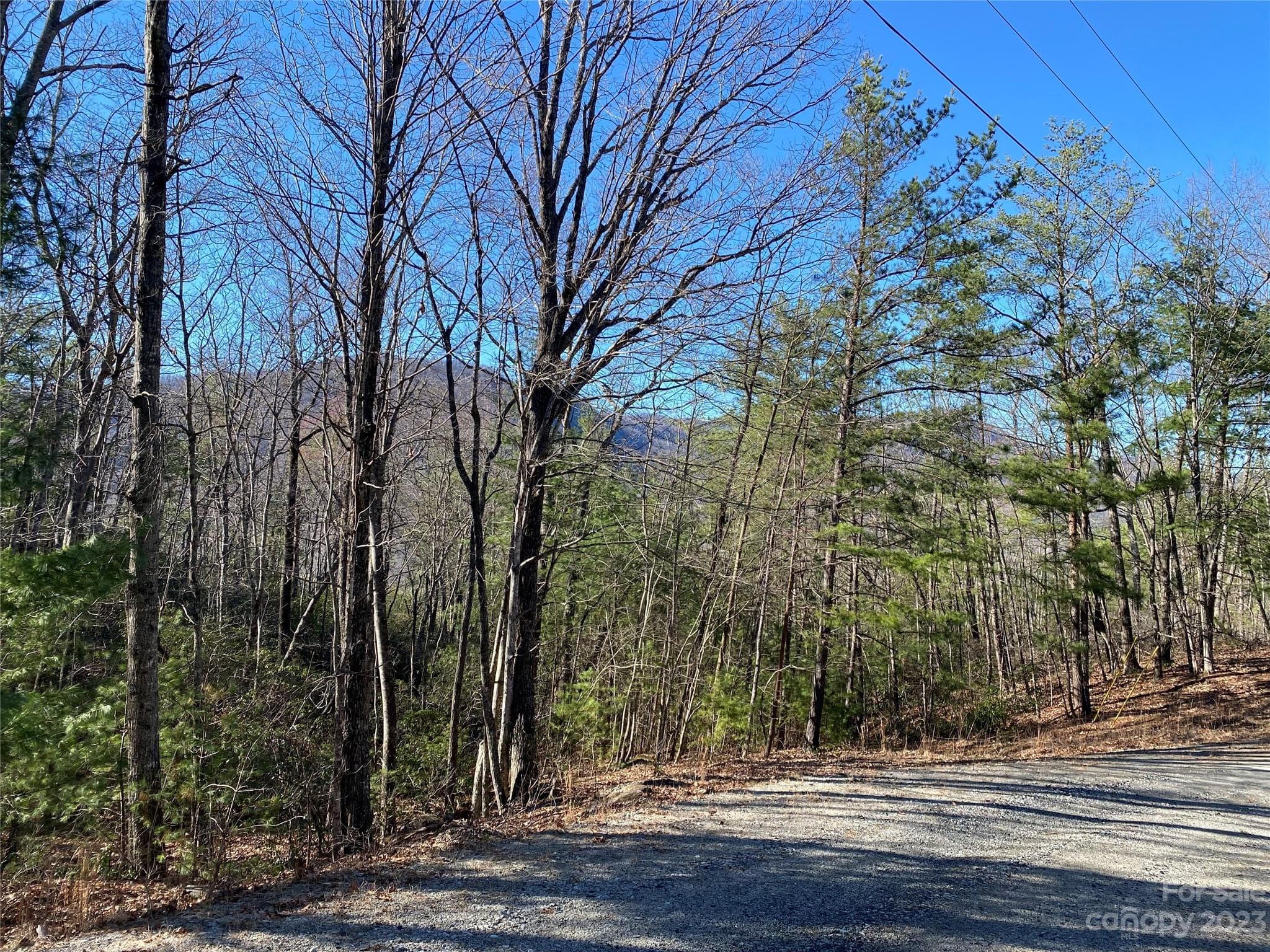 Across the road, mountain views. Power lines are already in place! - Lot 49 Sunrise Path, Marion