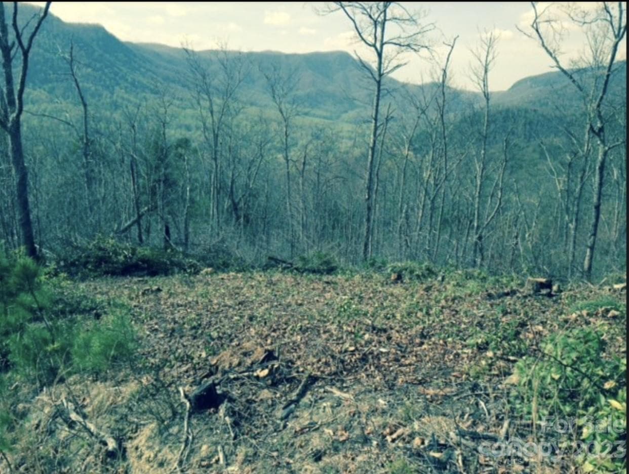 Lot when previously cleared... - Lot 49 Sunrise Path, Marion