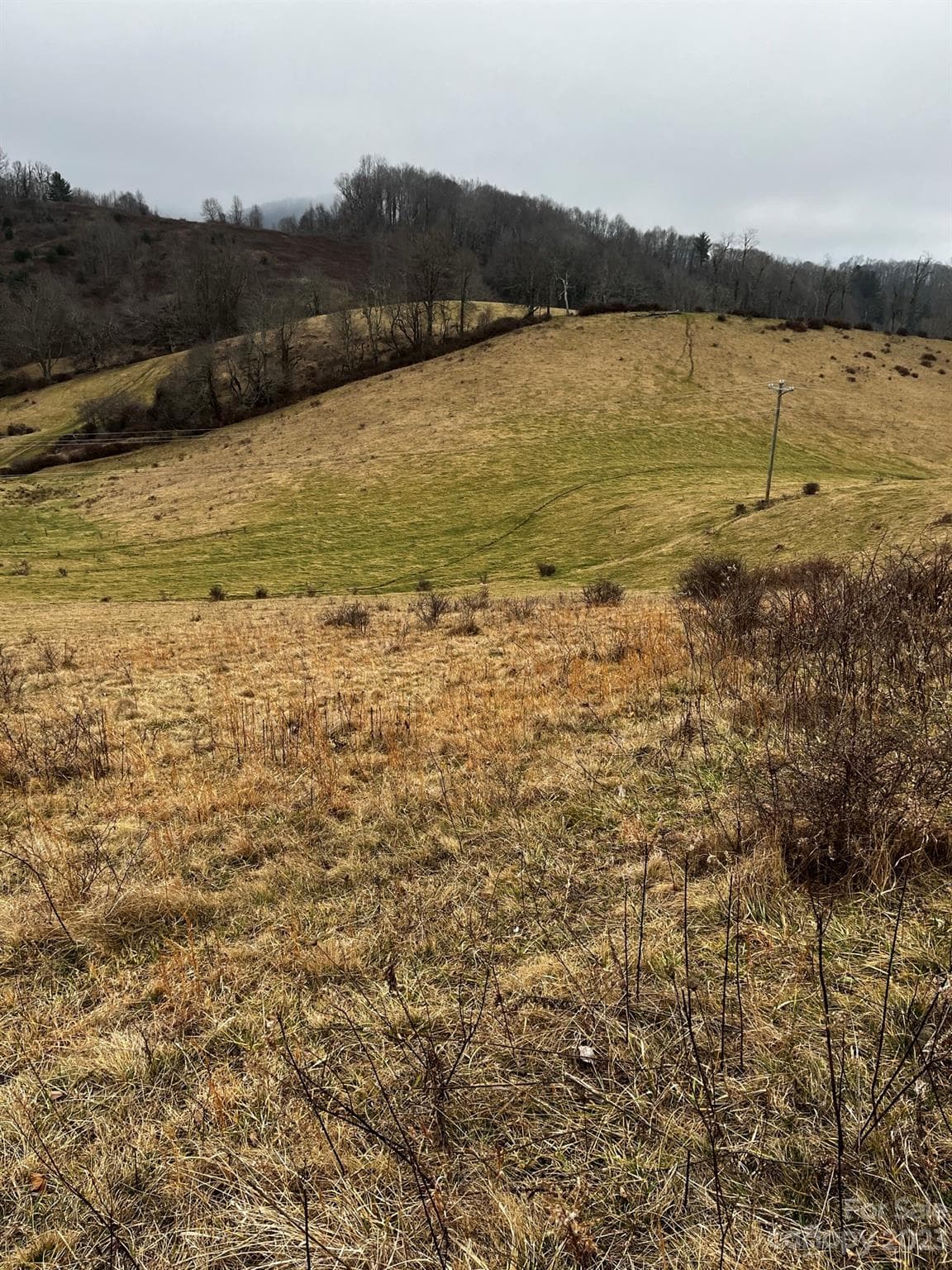 Acreage at TBD Poplar Grove Road, Boone, photo 34 of 48