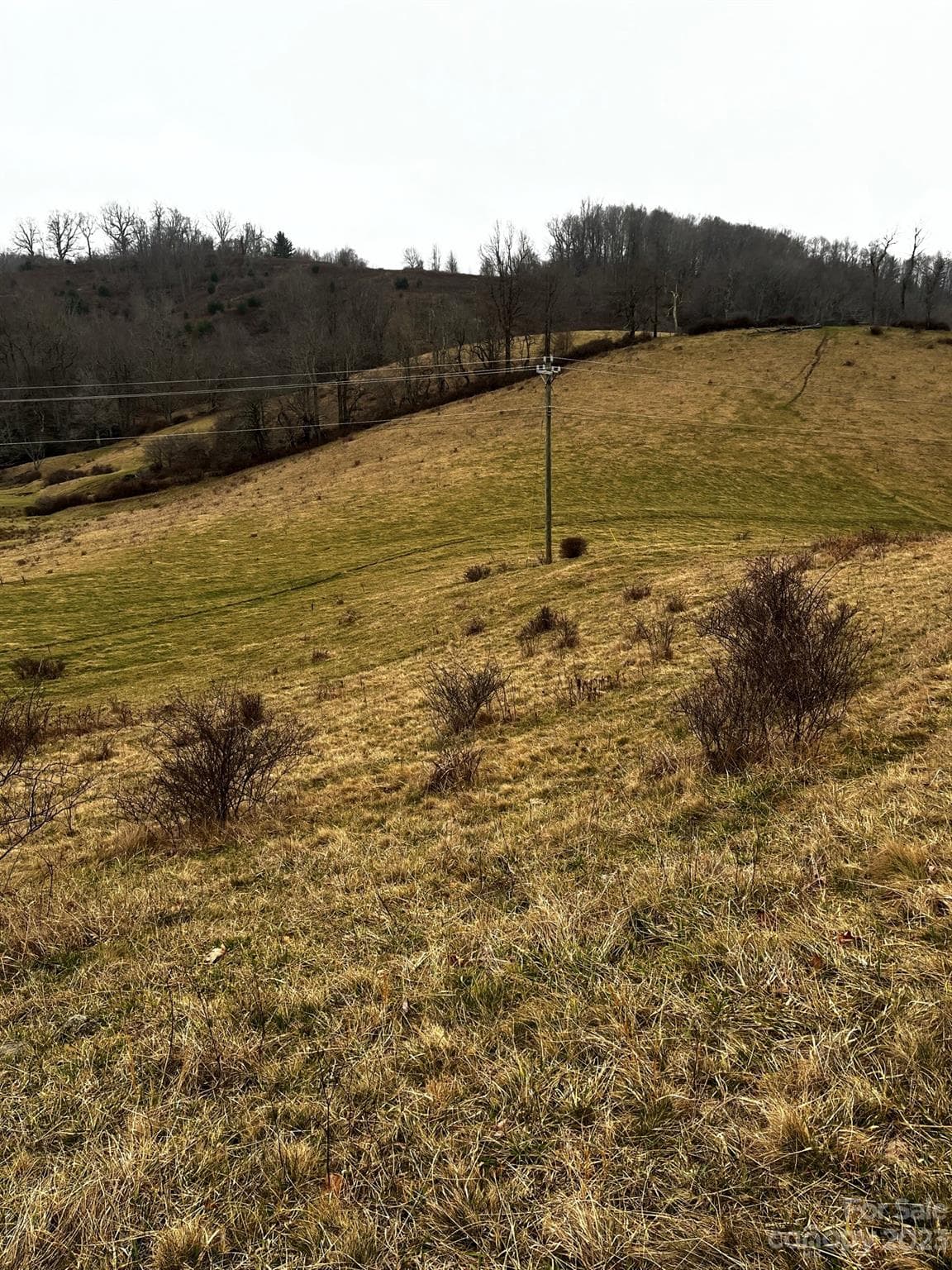Acreage at TBD Poplar Grove Road, Boone, photo 37 of 48