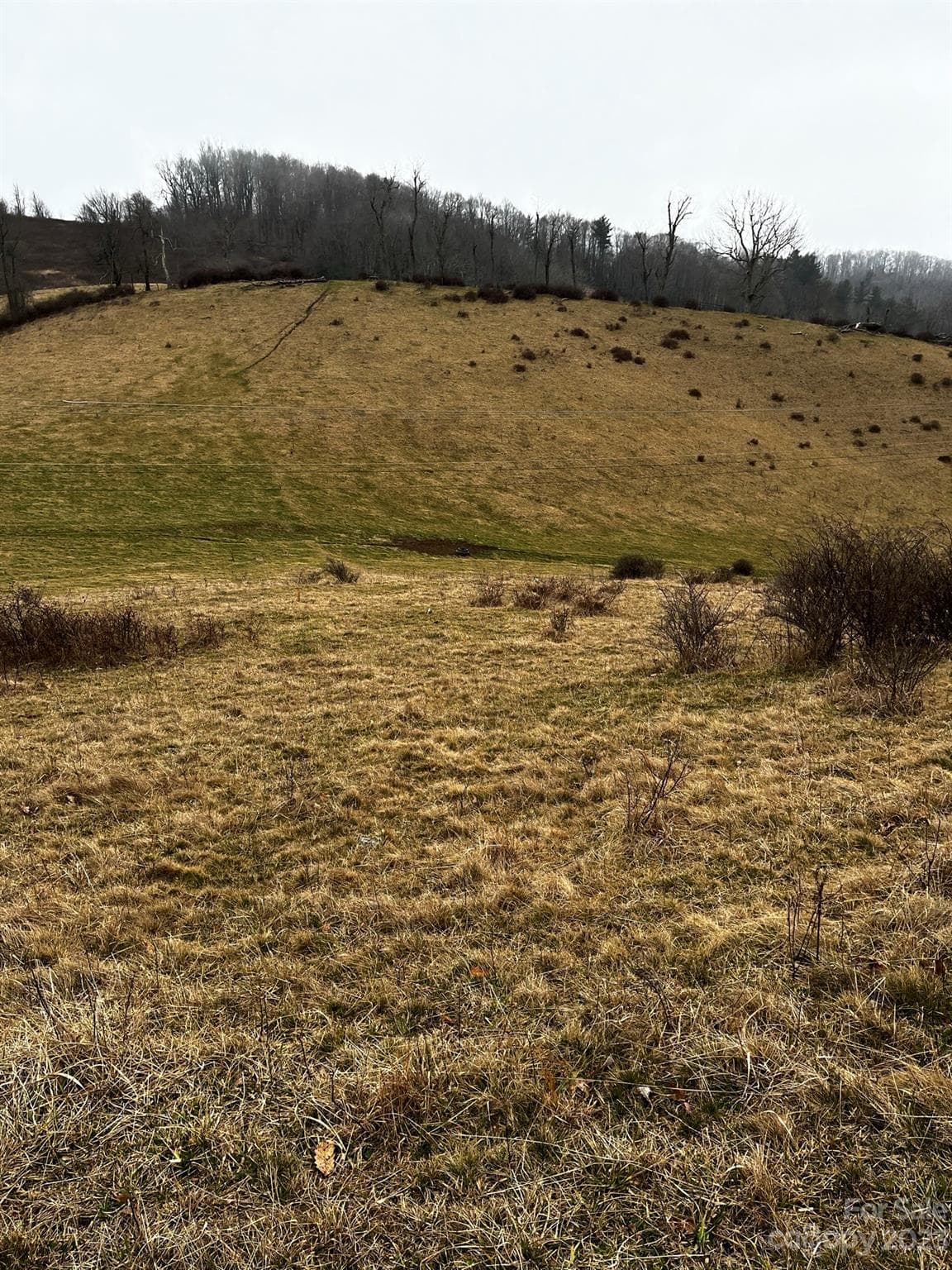 Acreage at TBD Poplar Grove Road, Boone, photo 39 of 48