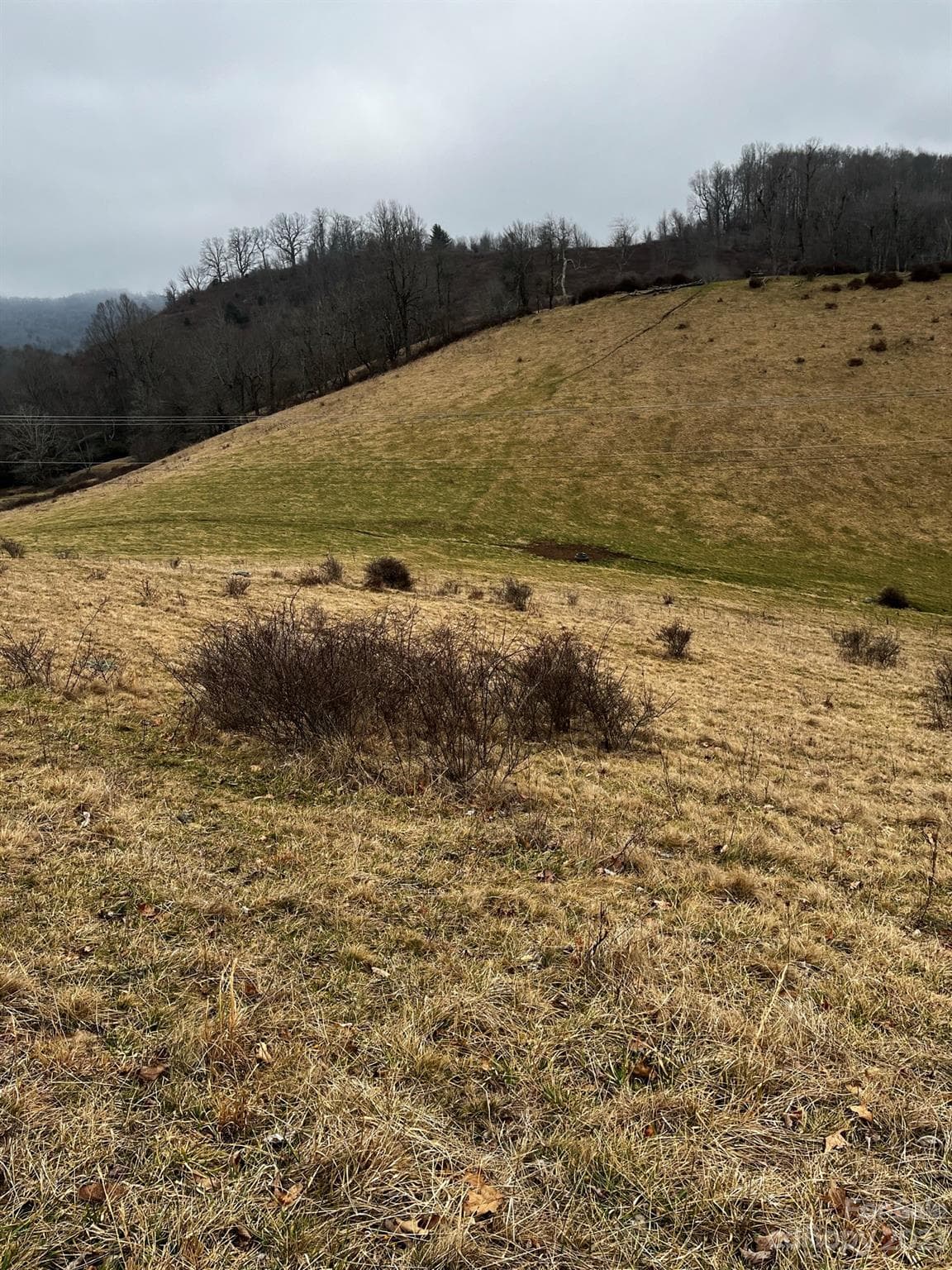 Acreage at TBD Poplar Grove Road, Boone, photo 42 of 48