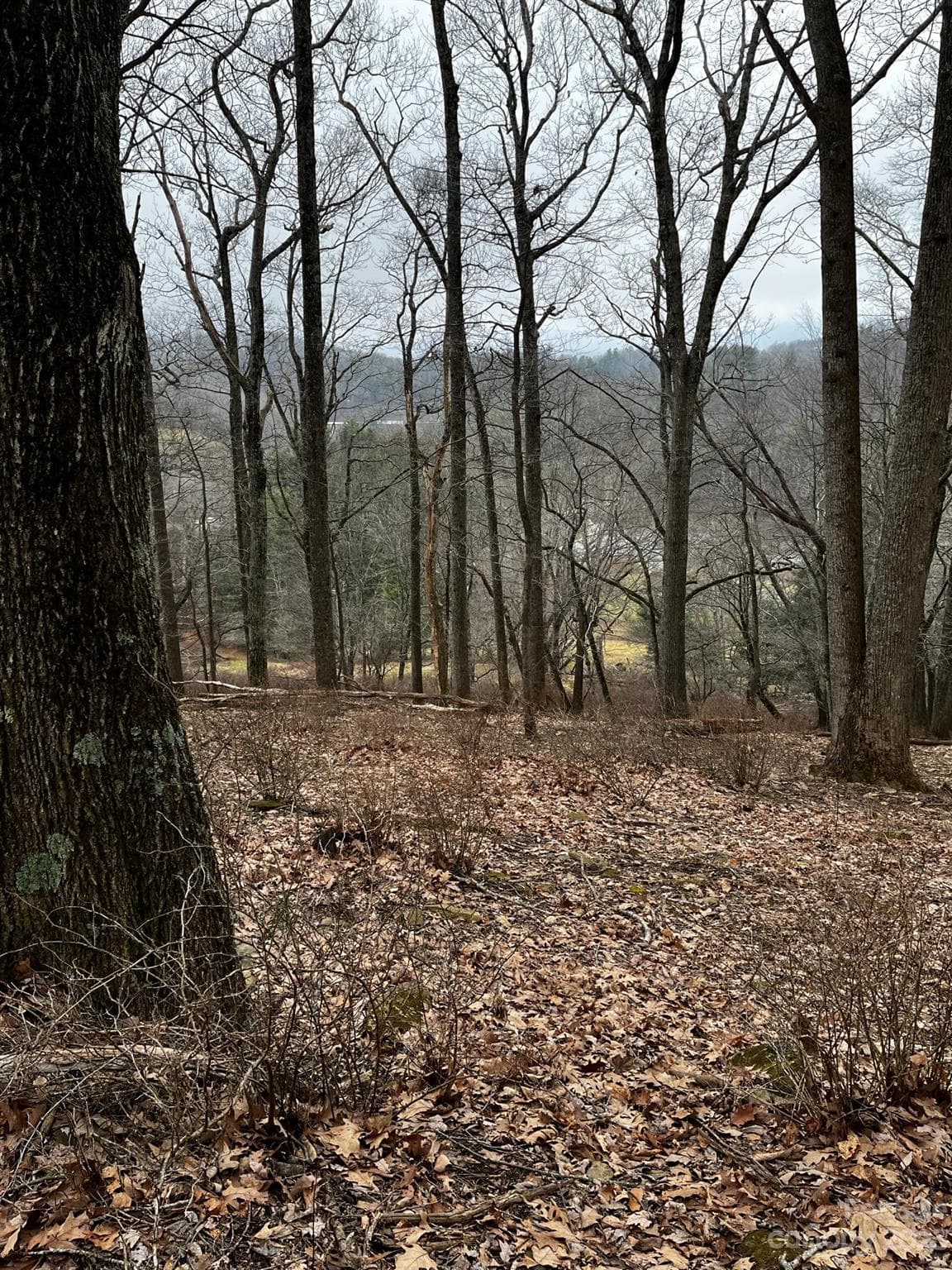 Acreage at TBD Poplar Grove Road, Boone, photo 43 of 48