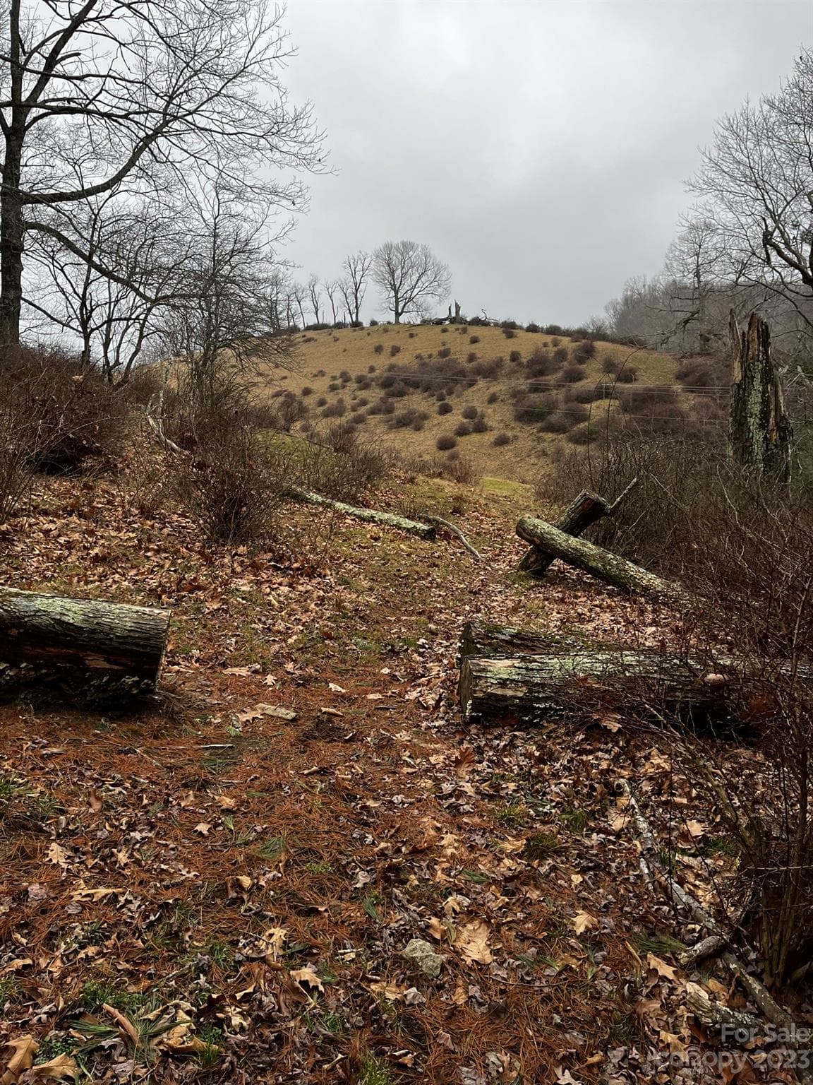 Acreage at TBD Poplar Grove Road, Boone, photo 45 of 48