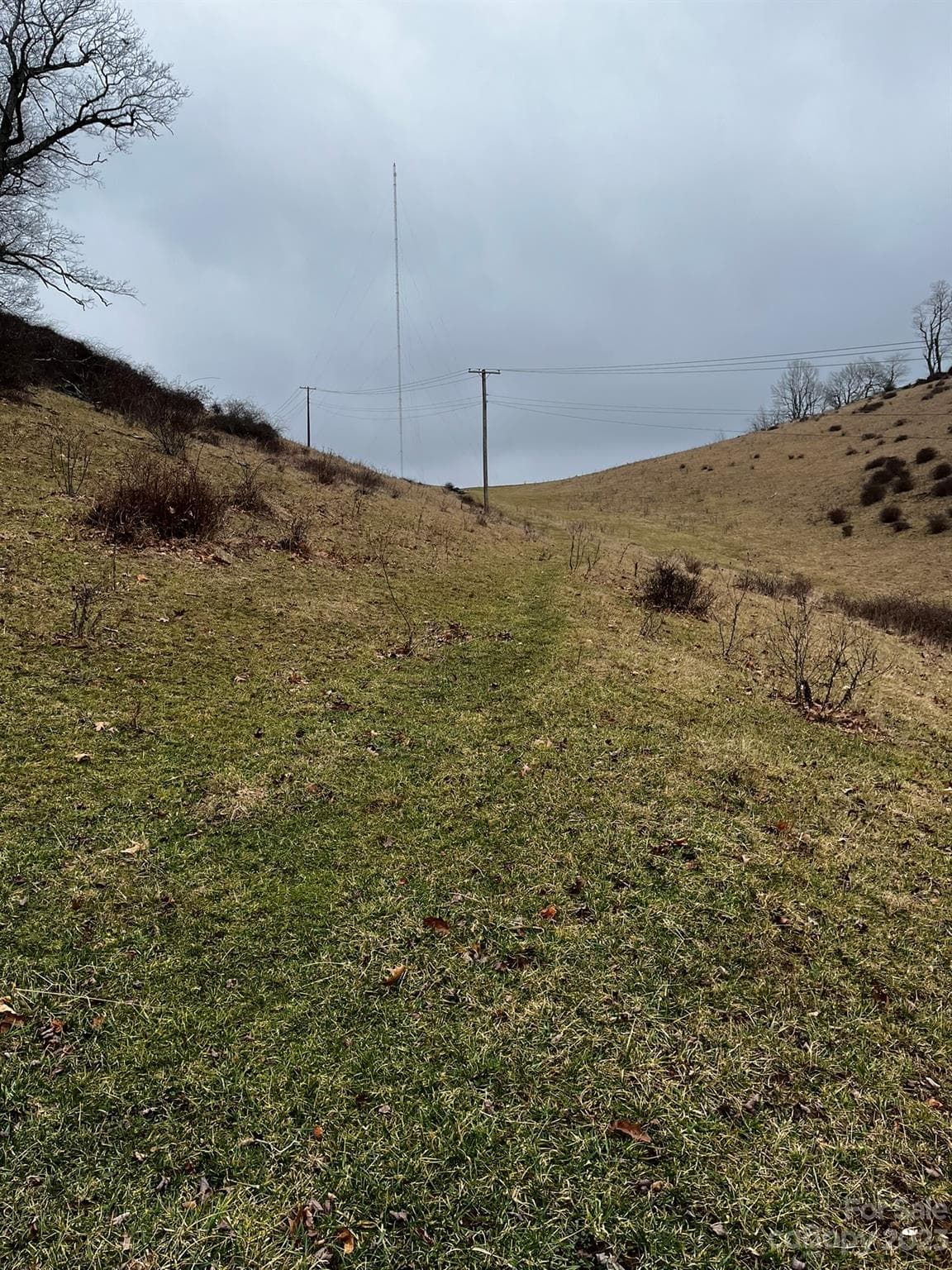 Acreage at TBD Poplar Grove Road, Boone, photo 46 of 48