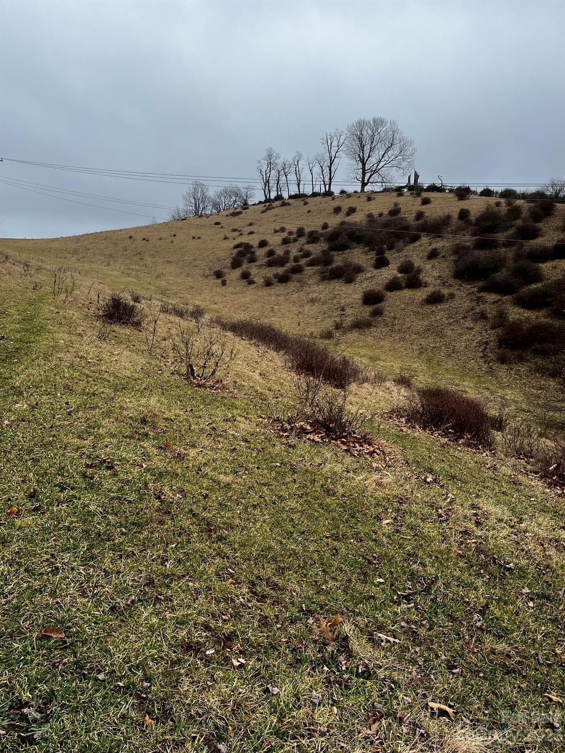 Acreage at TBD Poplar Grove Road, Boone, photo 47 of 48