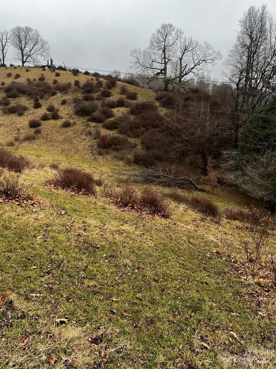 Acreage at TBD Poplar Grove Road, Boone, photo 48 of 48