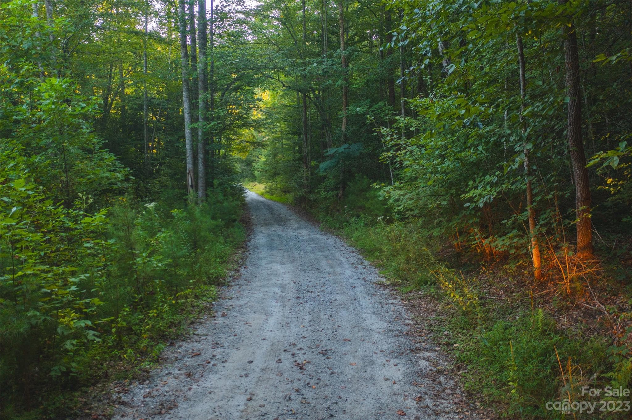 Acreage at Lenoir, photo 2 of 24
